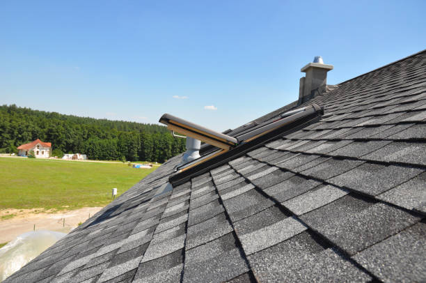 Skylight repairs